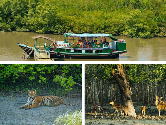 Sundarban - Khulna Division in Bangladesh